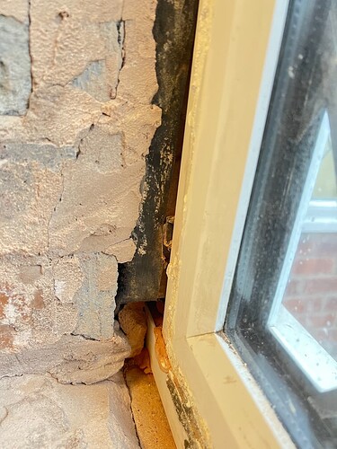 window reveal - 4